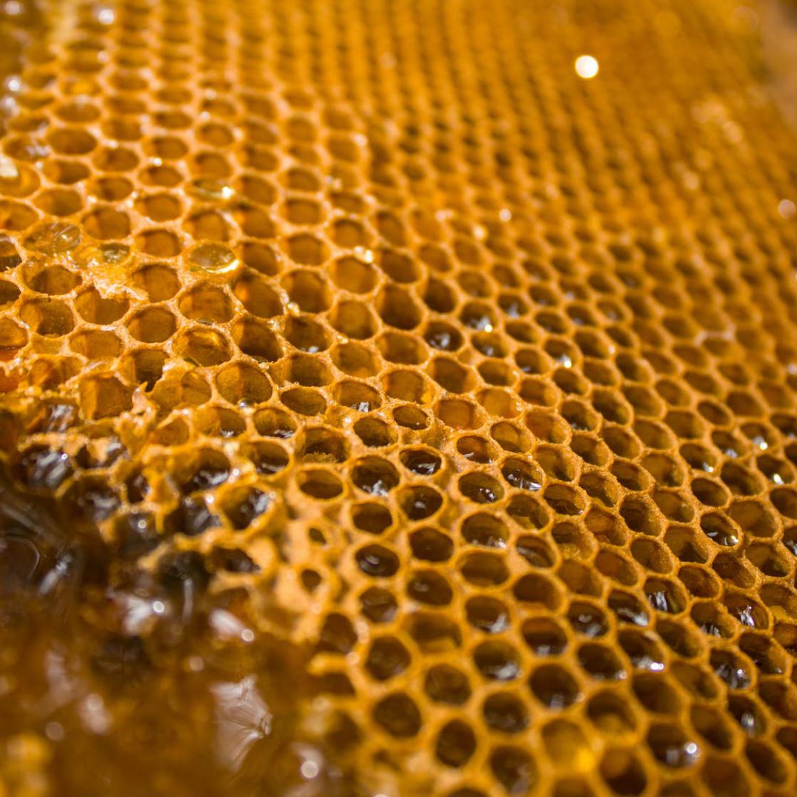 Vendita miele online Prodotti dell'Alveare